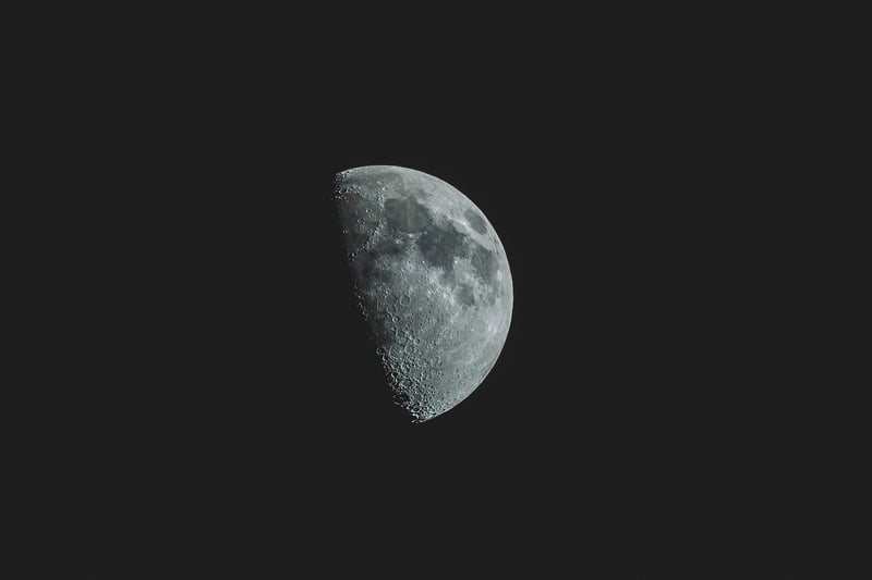 Lunar Blossoms